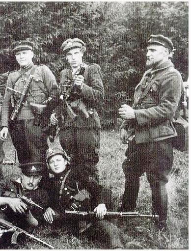 Lithuanian Partisan Group with SVT-40